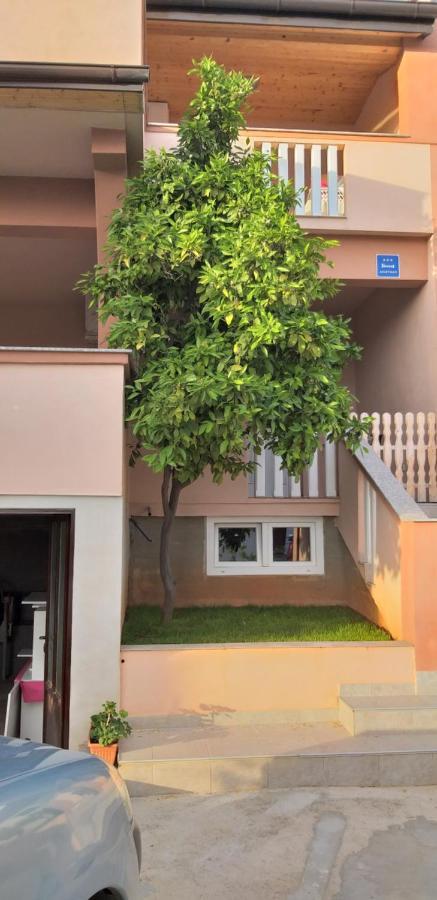 Apartmani Damant Zadar Quarto foto